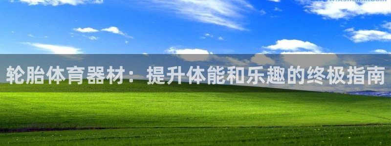 耀世娱乐老板是谁：轮胎体育器材：提升体能和乐趣的终极