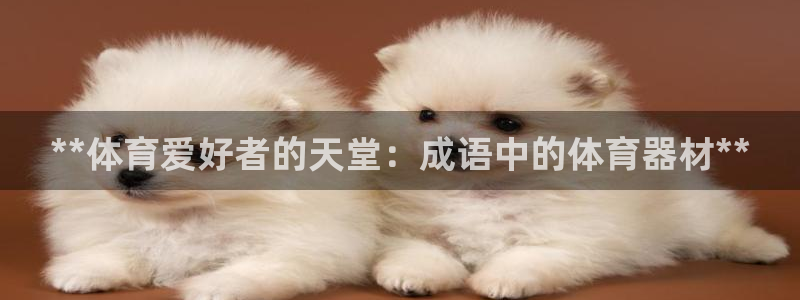 耀世国际平台正规吗可靠吗可信吗：**体育爱好者的天堂