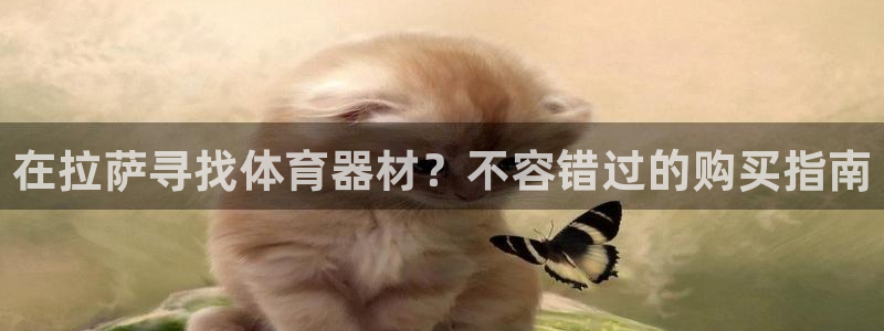 耀世平台代理：在拉萨寻找体育器材？不容错过的购买指南