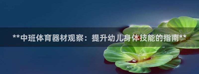 耀世游戏：**中班体育器材观察：提升幼儿身体技能的指