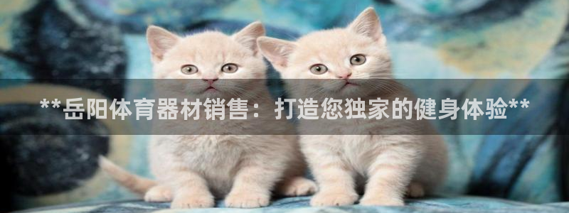 耀世娱乐软件下载官网：**岳阳体育器材销售：打造您独