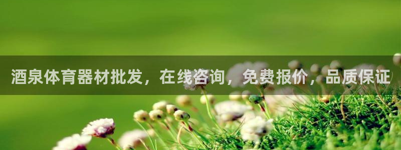 耀世小说全文免费阅读：酒泉体育器材批发，在线咨询，免费报价，