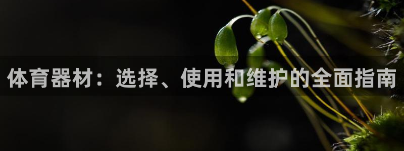 耀世开业：体育器材：选择、使用和维护的全面指南