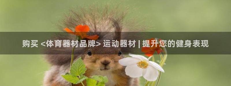 耀世娱乐老板：购买 <体育器材品牌> 运动器材 | 