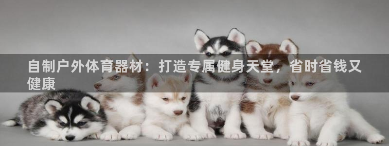 耀世娱乐如何登录账号和密码：自制户外体育器材：打造专