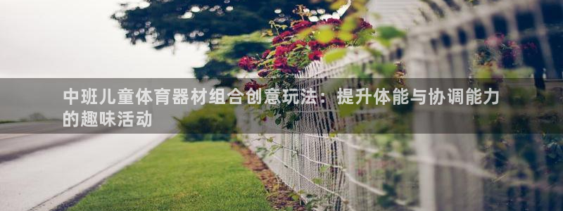 耀世集团董事长儿子：中班儿童体育器材组合创意玩法：提