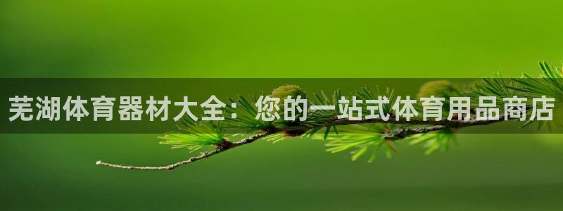 六星耀世什么意思：芜湖体育器材大全：您的一站式体育用