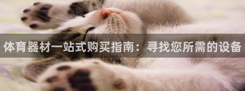 耀世娱乐挂机怎么玩：体育器材一站式购买指南：寻找您所需的设备