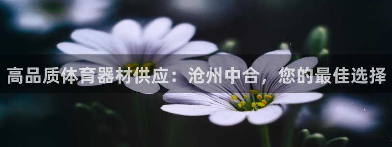 耀世平台理7O777：高品质体育器材供应：沧州中合，