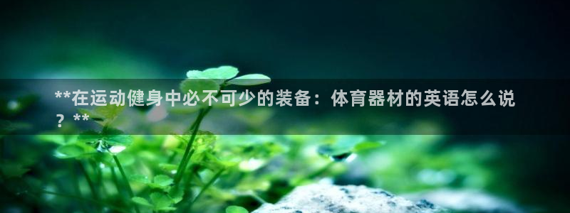 耀世娱乐提款机怎么用：**在运动健身中必不可少的装备：体育器
