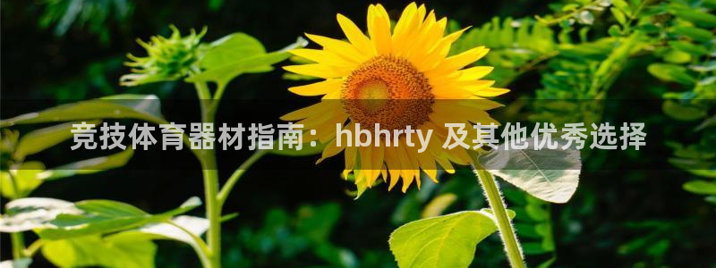 耀世平台理7O777：竞技体育器材指南：hbhrty