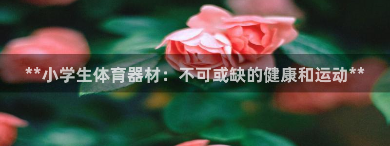 耀世集团董事长：**小学生体育器材：不可或缺的健康和