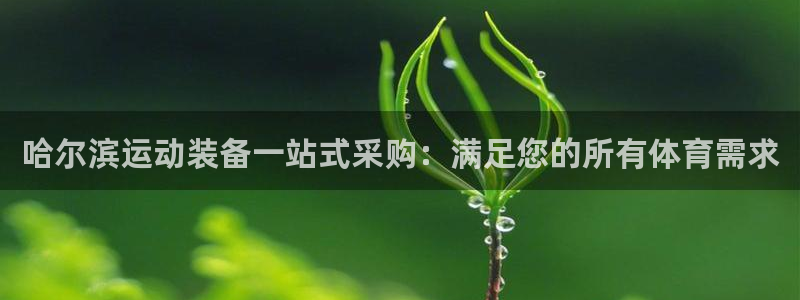 耀世盛典手游：哈尔滨运动装备一站式采购：满足您的所有
