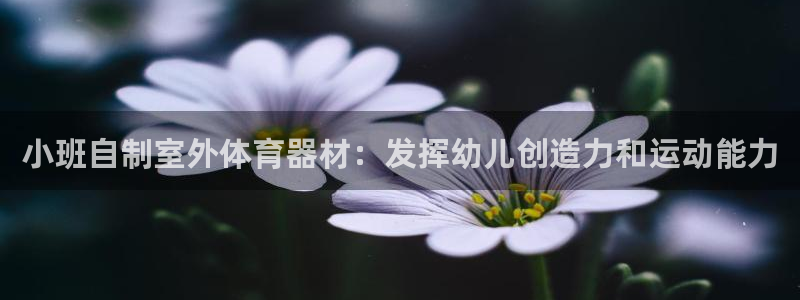 耀世平台app下载安装：小班自制室外体育器材：发挥幼