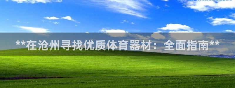 耀世娱乐注册官网网址：**在沧州寻找优质体育器材：全面指南*