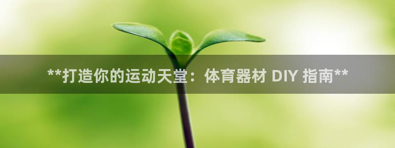 耀世娱乐官网首页登录：**打造你的运动天堂：体育器材
