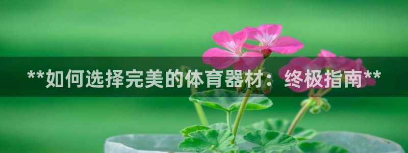 耀世娱乐登录遍333OO：**如何选择完美的体育器材