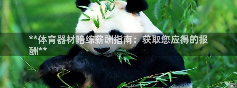 耀世天下的网名是什么意思啊：**体育器材陪练薪酬指南
