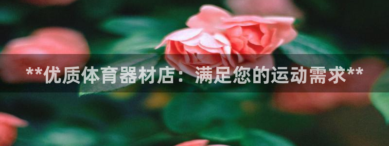 耀世意思是什么：**优质体育器材店：满足您的运动需求