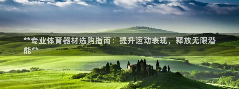 耀世集团商业联盟怎么样