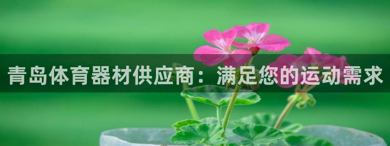 耀世娱乐网址是什么啊
