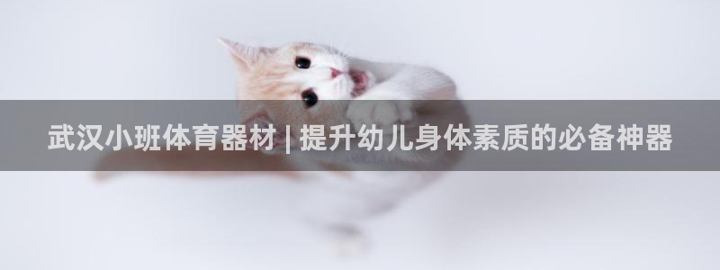 耀世开业：武汉小班体育器材 | 提升幼儿身体素质的必