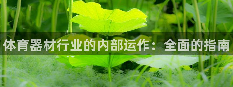 耀世平台注册网址是什么啊：体育器材行业的内部运作：全