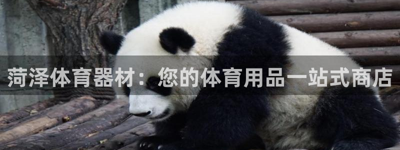 耀世娱乐招商注册 知乎账号：菏泽体育器材：您的体育用