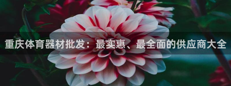 耀世开启什么意思：重庆体育器材批发：最实惠、最全面的
