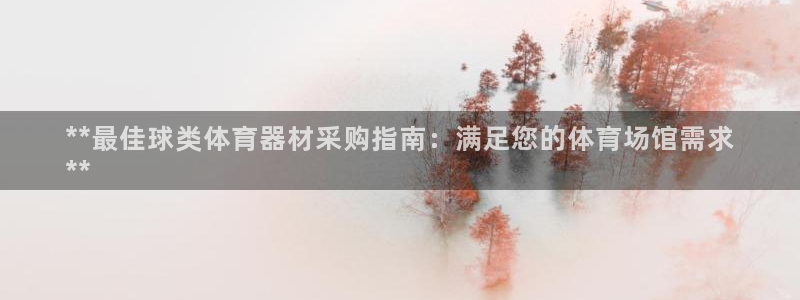 耀世平台网址：**最佳球类体育器材采购指南：满足您的体育场馆