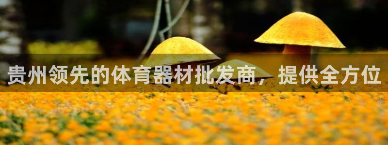 耀世娱乐总代：贵州领先的体育器材批发商，提供全方位