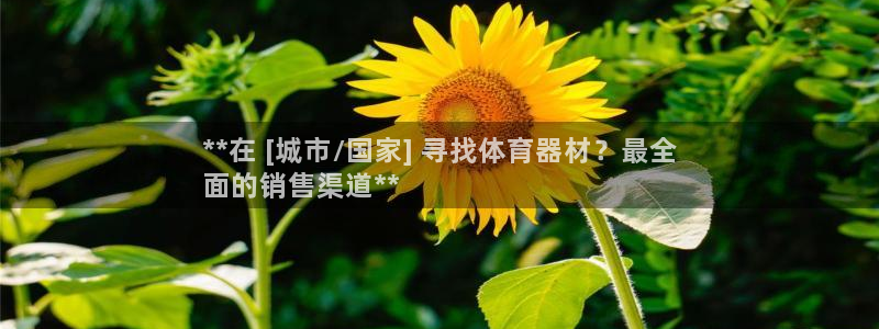 耀世平台代理多少钱一次