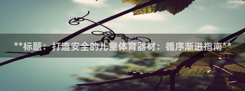 耀世娱乐总代理电话：**标题：打造安全的儿童体育器材：循序渐
