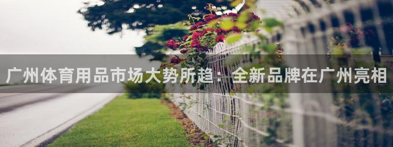 耀世娱乐平台官网登录入口网址