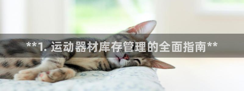 耀世集团视频直播：**1. 运动器材库存管理的全面指