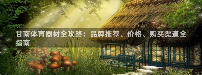 耀世娱乐百科：甘南体育器材全攻略：品牌推荐、价格、购