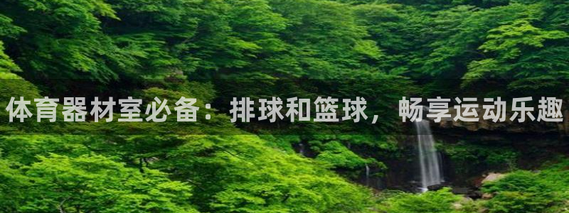 耀世平台将7O777：体育器材室必备：排球和篮球，畅