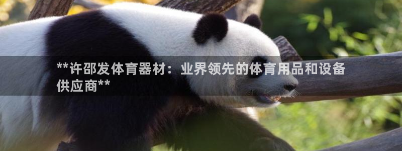 耀世平台注册步骤图片：**许邵发体育器材：业界领先的体育用品