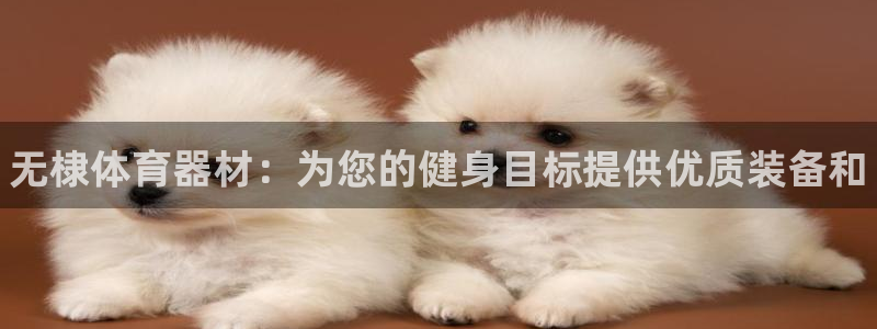 耀世集团董事长儿子：无棣体育器材：为您的健身目标提供优质装备