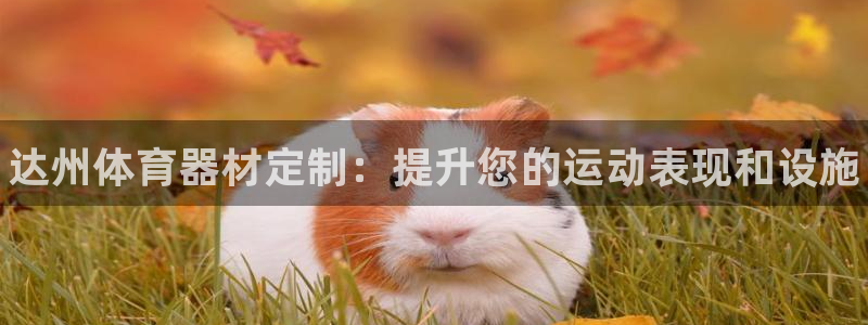 耀世而来是什么意思：达州体育器材定制：提升您的运动表现和设施