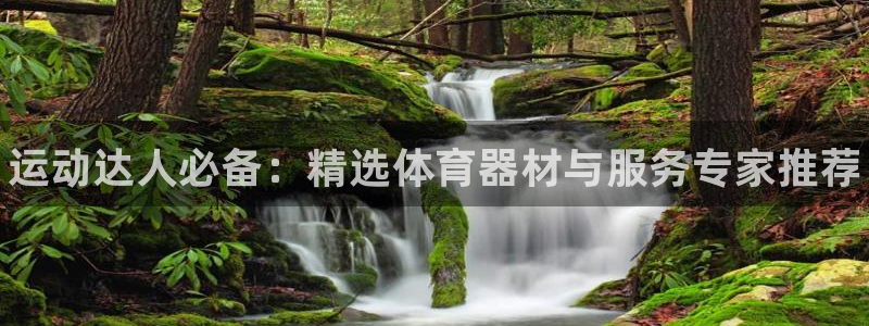 耀世开业：运动达人必备：精选体育器材与服务专家推荐