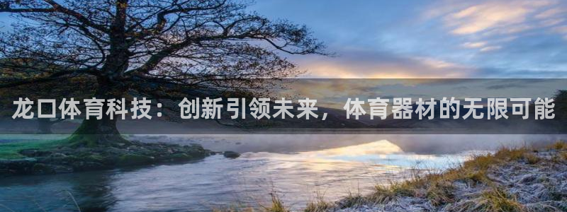 耀世娱乐提现失败怎么办：龙口体育科技：创新引领未来，体育器材