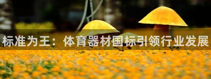 耀世娱乐挂机脚本下载：标准为王：体育器材国标引领行业