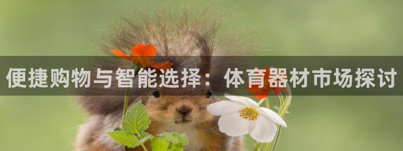 耀世娱乐提款怎么取消：便捷购物与智能选择：体育器材市场探讨